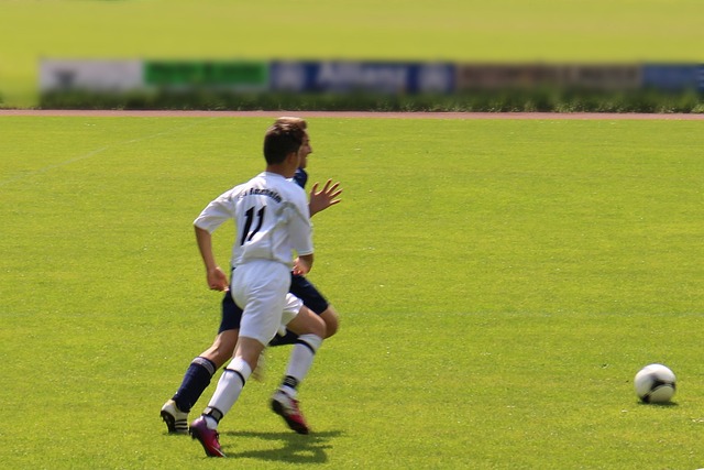 運動生涯對